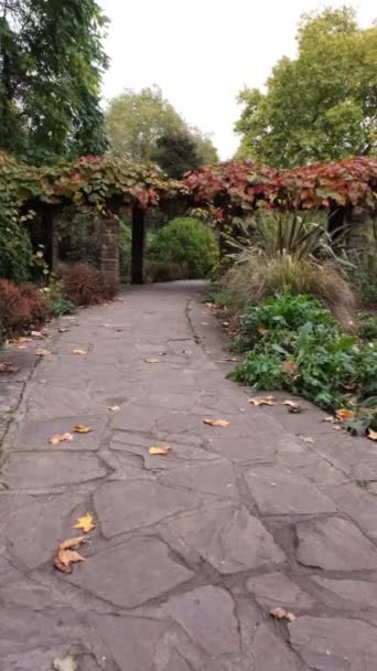 Southwark Park London Ada Salter Rose Garden Otoño Parque Británico — Vídeo de stock