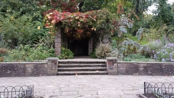 伦敦Southwark公园 Ada Salter玫瑰花园 秋天英式拱形公园 — 图库视频影像