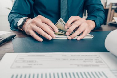 Banka muhasebesi Amerikan doları gelir ve iş konseptini sayar. Banka denetimi kavramı.