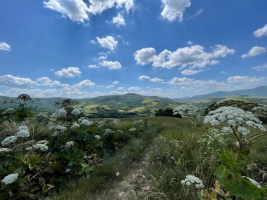 Summer in Ukraine, The Carpathian Mountains 