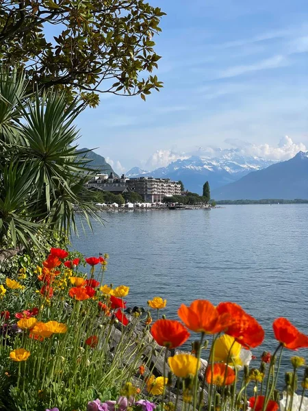 Vevey Beauty Calmness — Foto de Stock