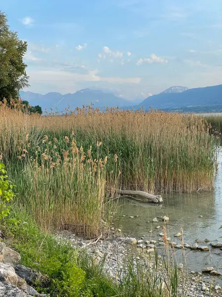 Austrian Lake Views Dawn — Stock fotografie