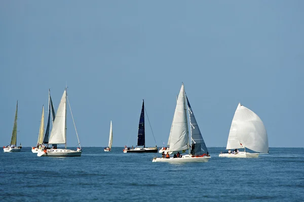 Start of a sailing regatta — Stock Photo, Image