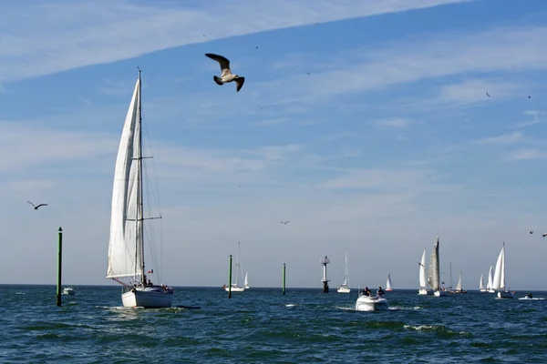 The end of regatta — Stock Photo, Image