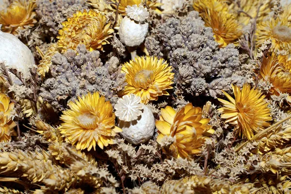 Dried flowers