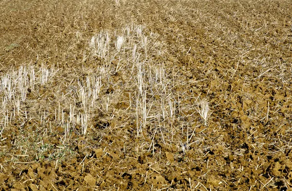 Empty Fields — Stock Photo, Image