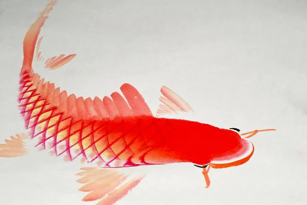 Červená ryba — Stock fotografie