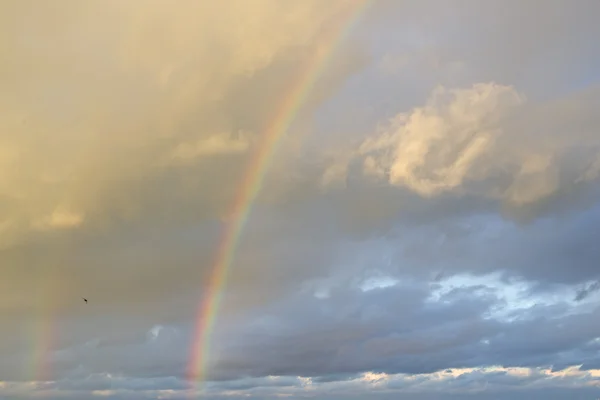 Dubbele regenboog, witte wolken en blauwe hemel Rechtenvrije Stockfoto's