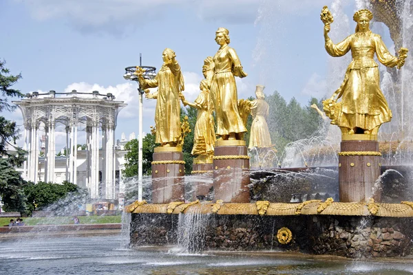 Çeşme VDKNh Moskova, Rusya