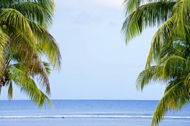 palmiye ağaçları ile Hint Okyanusu manzarası