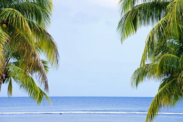 Landschaft des indischen Ozeans mit Palmen — Stockfoto