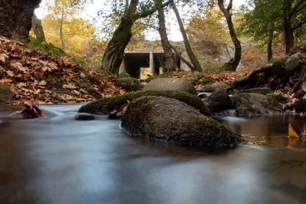 바위가 폭포에서 낙엽이 떨어진다 바위투성이의 이강을 흐른다 아름다운 — 스톡 사진