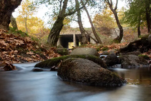 岩の多い滝に落ちた葉 岩の多い小川は川に注ぐ 森の中の橋 美しい森と川の風景 — ストック写真