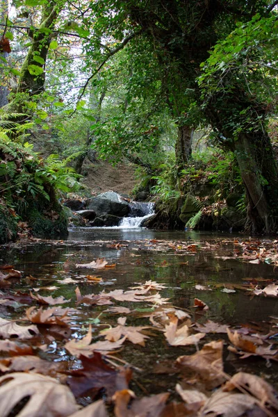 바위가 폭포에서 낙엽이 떨어진다 바위투성이의 이강을 흐른다 폭포수 아름다운 — 스톡 사진