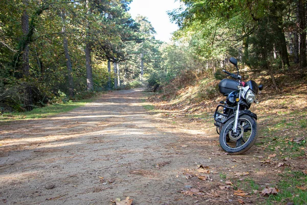 Motocicleta Sola Carretera Viajar Por Bosque Motocicleta Carretera Forestal Motocicleta — Foto de Stock