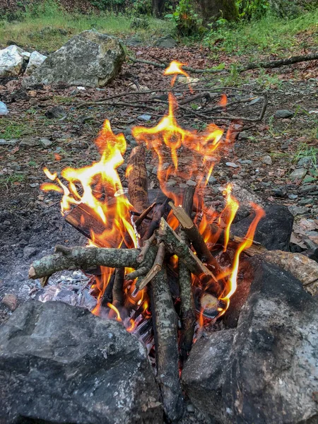 Burning Fire Fireplace Campfire Forest — Stock Photo, Image
