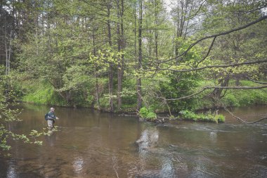 The fisherman catches with a spinning rod on the river.