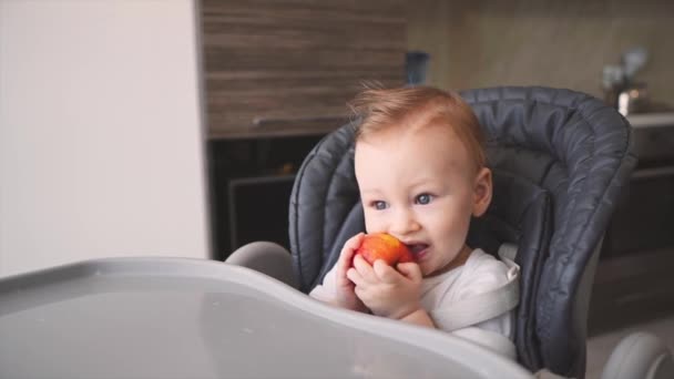 Tombul Yanaklı Bebek Taze Elma Yemekten Hoşlanıyor Çocuk Elleri Çocuk — Stok video