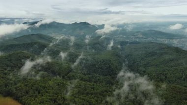 Drone flight over misty mountains in the morning at sunrise, clouds fly over mountain peaks and valleys. Carpathians, Ukraine. High quality 4k footage
