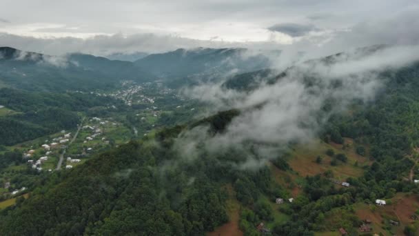 Aerial Drone View Flight Pine Tree Forest Cloudy Sky Mountain — Vídeos de Stock