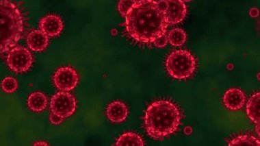 Covid-19 under the microscope. 3d animation of coronavirus with green background. High quality FullHD footage