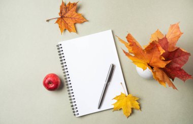 Sarı akçaağaç yaprakları, defter, kalem ve elmanın pastel yeşil arka planda olduğu bir sonbahar dairesi. Üst görünüm ve kopyalama alanı. 