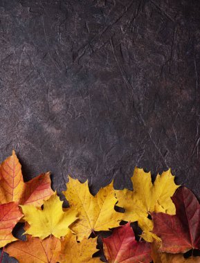 Parlak turuncu sonbahar akçaağaç yaprakları koyu beton arka planda. Üst görünüm ve kopyalama alanı. 