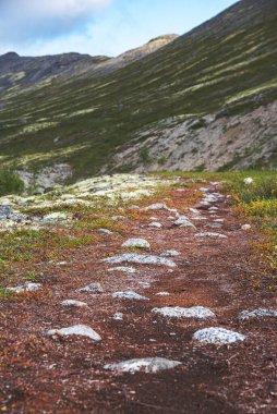 Güneşli bir günde kırmızı yosun ve taşlardan oluşan dağ yolu ile Khibiny dağlarının güzel manzarası. Kola Yarımadası, Rusya. Boşluk resmini kopyala