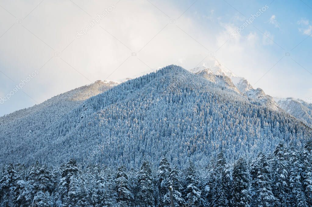 Beautiful landscape in Arkhyz with mountains and snowy forest on a cloudy winter day. Caucasus Mountains, Russia