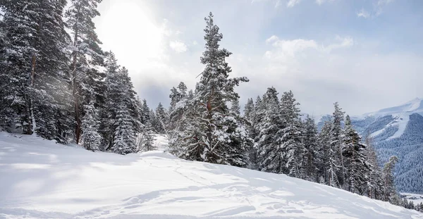 Güneşli bir kış gününde dağları, karı ve ormanı olan Arkhyz kayak merkezinin güzel manzarası. Kafkas Dağları, Rusya.
