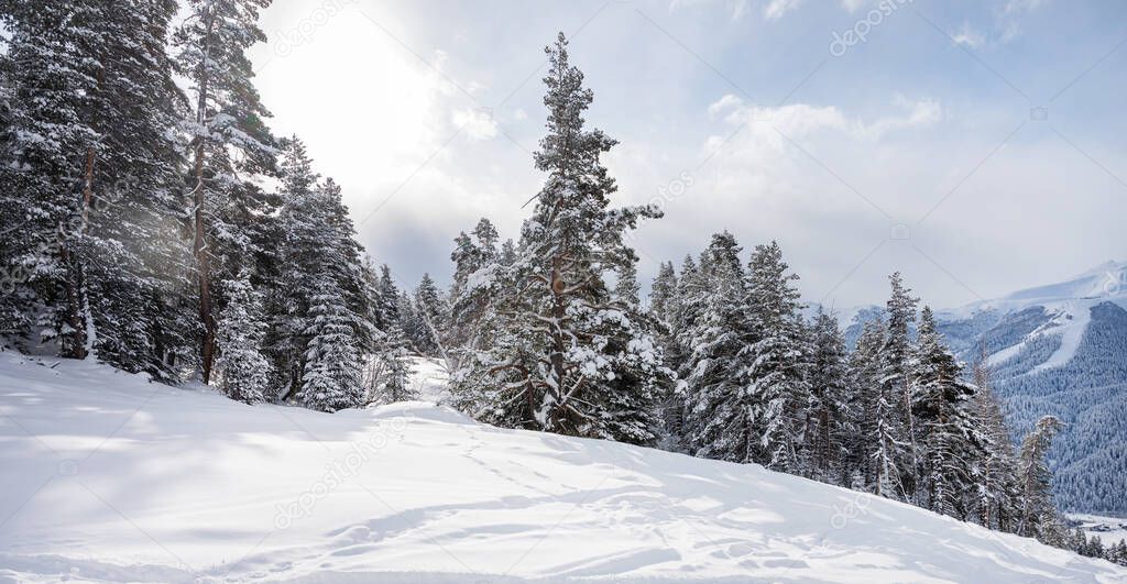 Beautiful landscape of the Arkhyz ski resort with mountains, snow and forest on a sunny winter day. Caucasus Mountains, Russia.