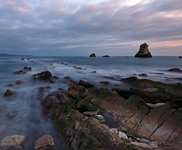 Baie de MUPE — Photo