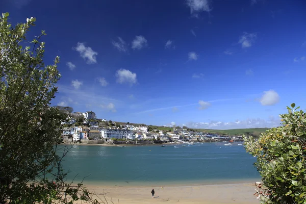 Boom over het strand van de kust bij salcombe — Stockfoto