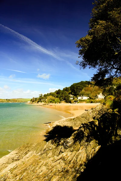 Baum über dem Strand am Ufer bei Salcombe — Stockfoto