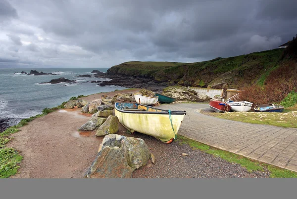 Lizard point — Zdjęcie stockowe