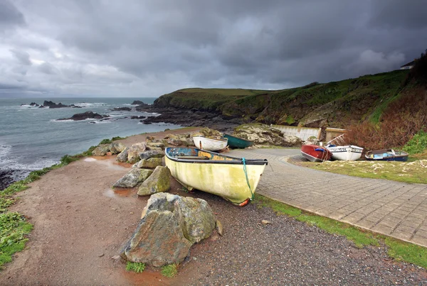 Lizard point — Zdjęcie stockowe