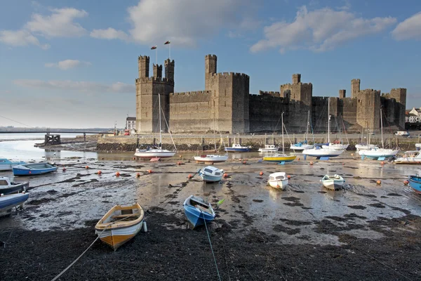 Caernarfon castle — Stockfoto