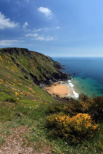 South west coast yol Güney devon kıyı şeridi İngiltere — Stok fotoğraf