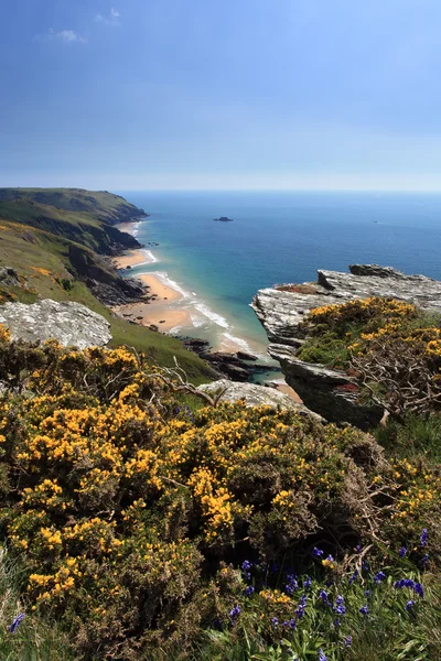 South Devon Coastline England — Stock Photo, Image