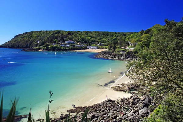 Salcombe strand Devon Anglia — Stock Fotó