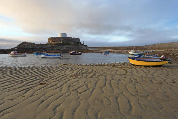 Fort šedá guernsey — Stock fotografie