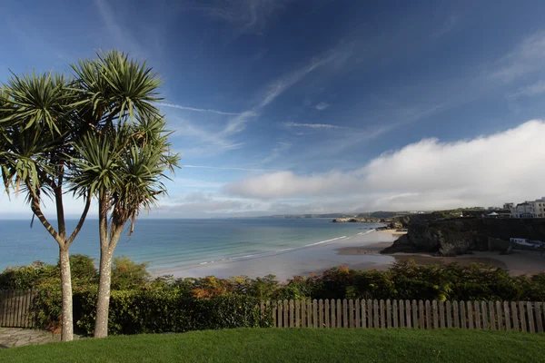 Newquay Cornwall — Stockfoto