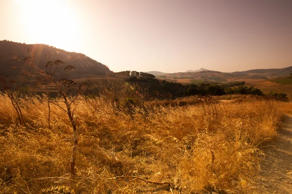 El templo dórico de Segesta — Foto de Stock