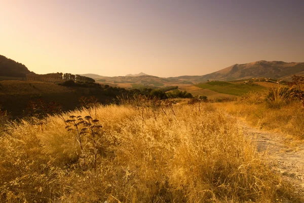 Dórského chrámu segesta — Stock fotografie