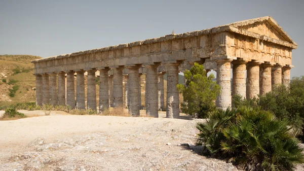 Dórského chrámu segesta — Stock fotografie