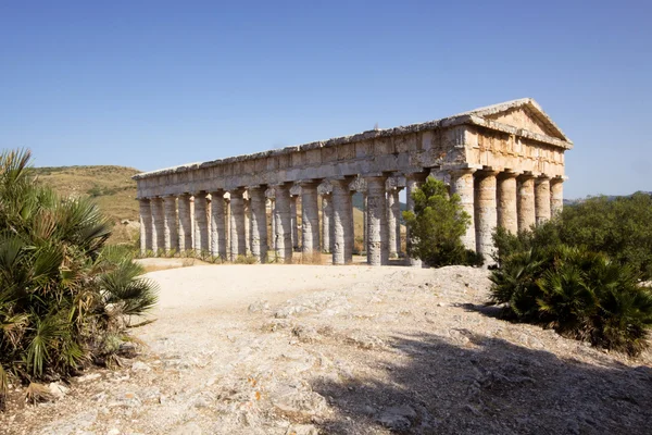 Dórského chrámu segesta — Stock fotografie