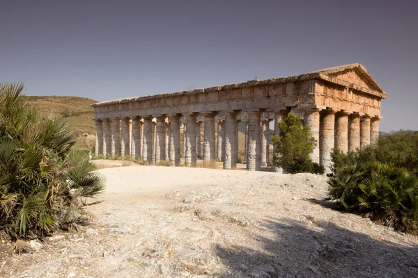 Dórského chrámu segesta — Stock fotografie