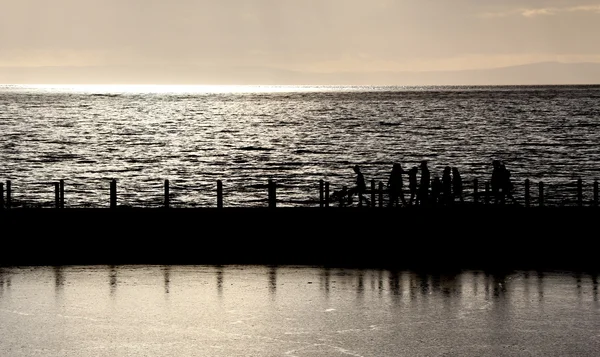 Večerní procházka — Stock fotografie