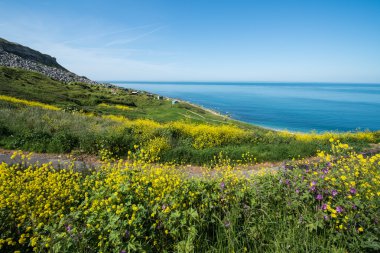 Chesil Beach 