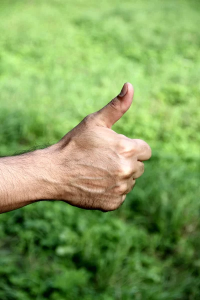 Палец вверх на зеленом фоне . — стоковое фото